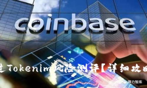 如何顺利通过Tokenim风险测评?详细攻略与注意事项