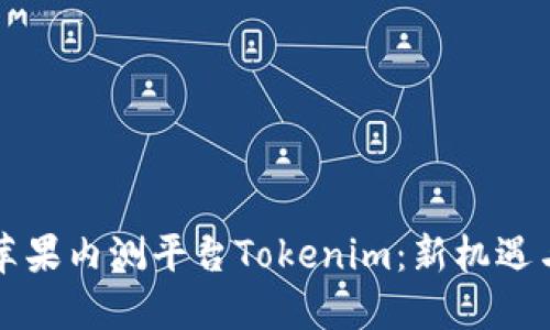 国内苹果内测平台Tokenim:新机遇与挑战