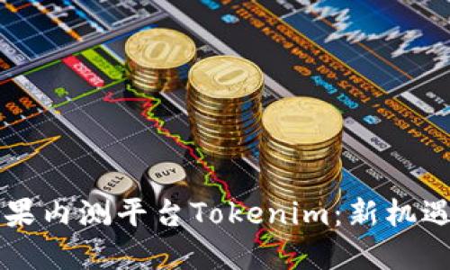 国内苹果内测平台Tokenim:新机遇与挑战