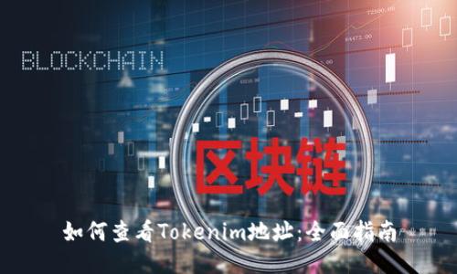 如何查看Tokenim地址:全面指南