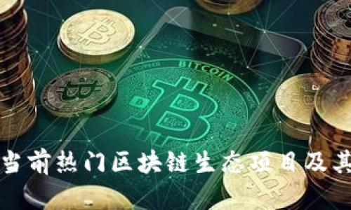 全面解析当前热门区块链生态项目及其应用前景