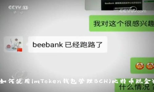 如何使用imToken钱包管理BCH(比特币现金)