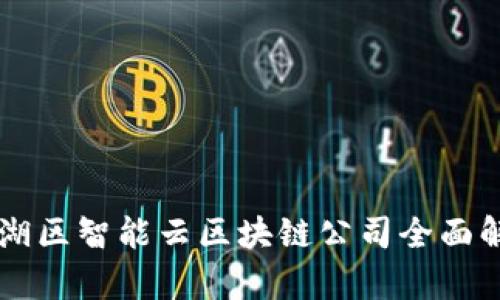 罗湖区智能云区块链公司全面解析
