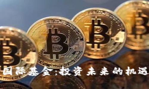 区块链国际基金:投资未来的机遇与挑战