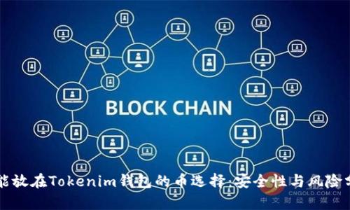 不能放在Tokenim钱包的币选择:安全性与风险分析