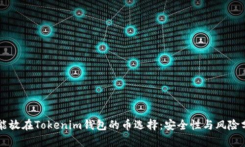 不能放在Tokenim钱包的币选择:安全性与风险分析