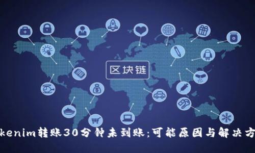 Tokenim转账30分钟未到账:可能原因与解决方案
