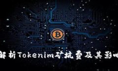 深入解析Tokenim矿坑费及其