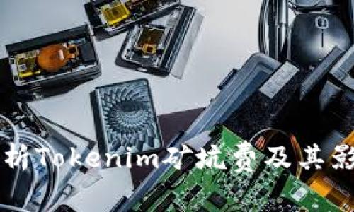 深入解析Tokenim矿坑费及其影响因素