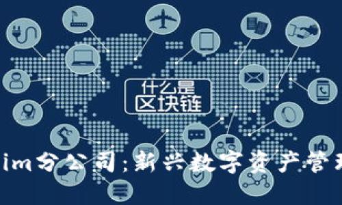 : Tokenim分公司:新兴数字资产管理的先锋