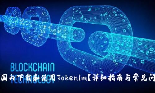 如何在国内下载和使用Tokenim?详细指南与常见问题解答