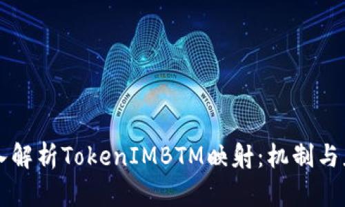 深入解析TokenIMBTM映射:机制与应用