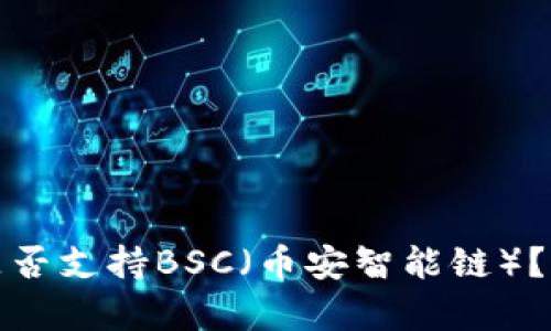 ImToken钱包是否支持BSC(币安智能链)?全面解析与指南