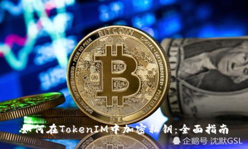 如何在TokenIM中加密私钥:全面指南