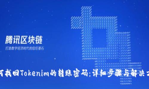如何找回Tokenim的转账密码:详细步骤与解决方案