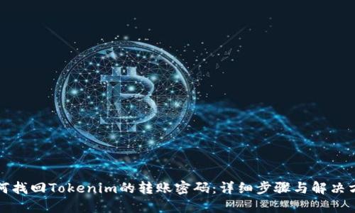 如何找回Tokenim的转账密码:详细步骤与解决方案