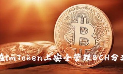 如何在imToken上安全管理BCH分叉资产