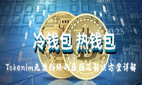 Tokenim无法到账的原因及解决方案详解