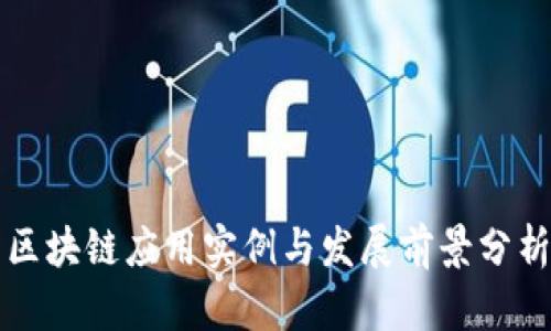 区块链应用实例与发展前景分析