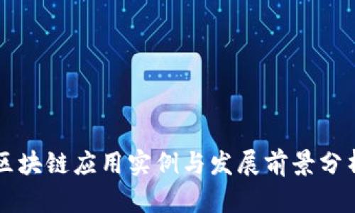 区块链应用实例与发展前景分析