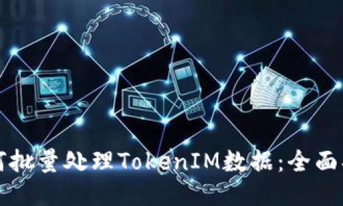 如何批量处理TokenIM数据:全面指南