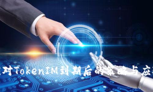 如何应对TokenIM到期后的策略与应对措施