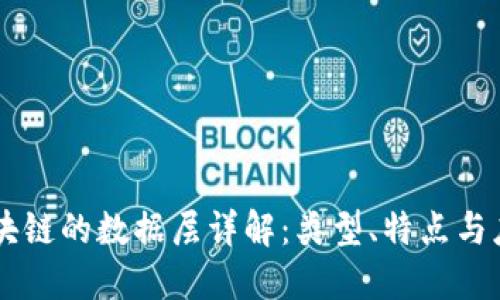 区块链的数据层详解：类型、特点与应用