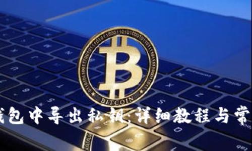 如何在IM钱包中导出私钥:详细教程与常见问题解答