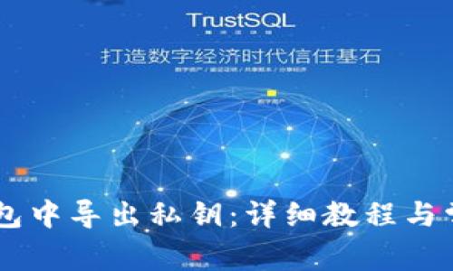 如何在IM钱包中导出私钥:详细教程与常见问题解答
