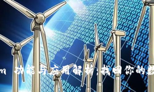 Tokenim 功能与应用解析：找回你的数字资产