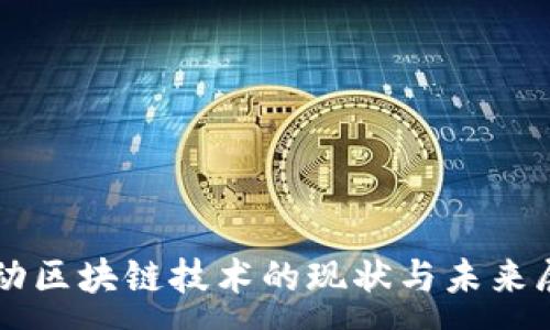 :
移动区块链技术的现状与未来展望