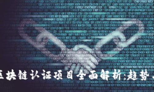 :
国内区块链认证项目全面解析:趋势与前景