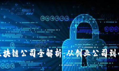 银河系区块链公司全解析:从创业公司到行业巨头