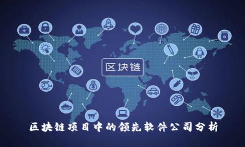 区块链项目中的领先软件公司分析