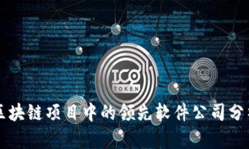 区块链项目中的领先软件公司分析