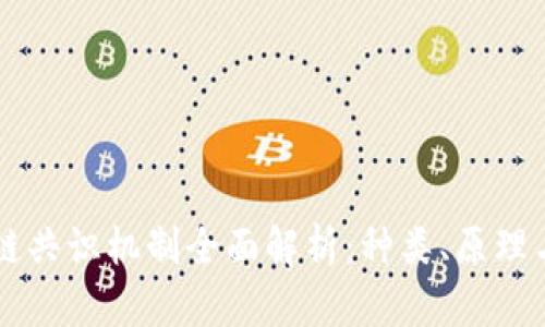 区块链共识机制全面解析：种类、原理与应用