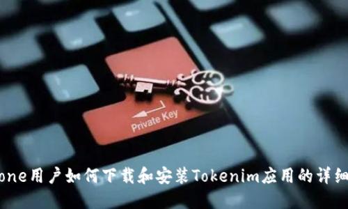 iPhone用户如何下载和安装Tokenim应用的详细指南