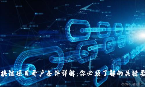 区块链项目开户条件详解:你必须了解的关键要素