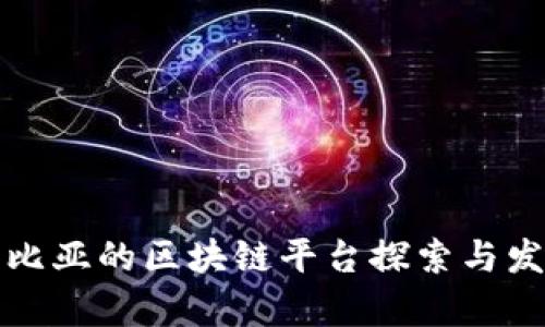 赞比亚的区块链平台探索与发展