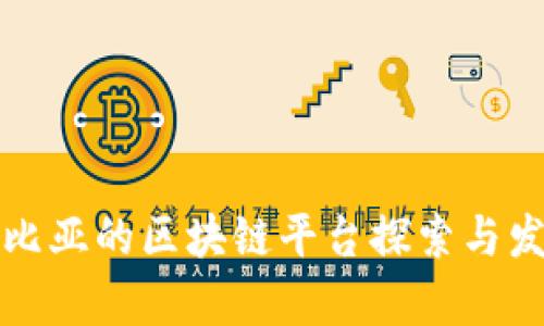 赞比亚的区块链平台探索与发展