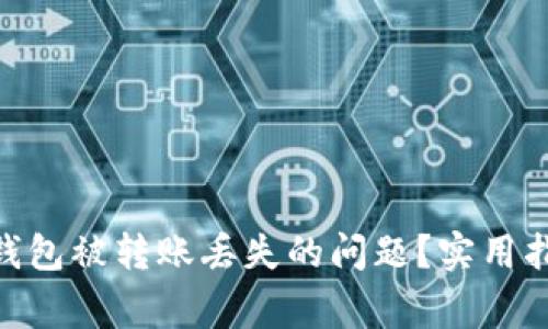 如何处理imToken钱包被转账丢失的问题?实用指南与常见疑问解答