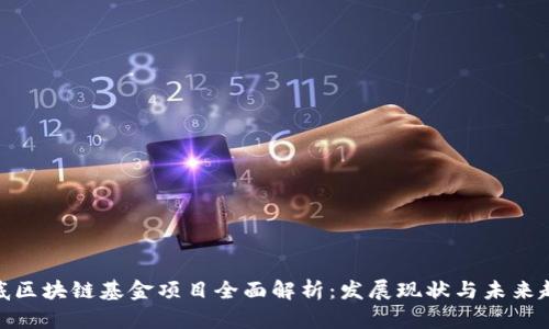 娄底区块链基金项目全面解析:发展现状与未来趋势