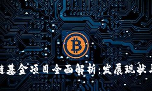 娄底区块链基金项目全面解析:发展现状与未来趋势