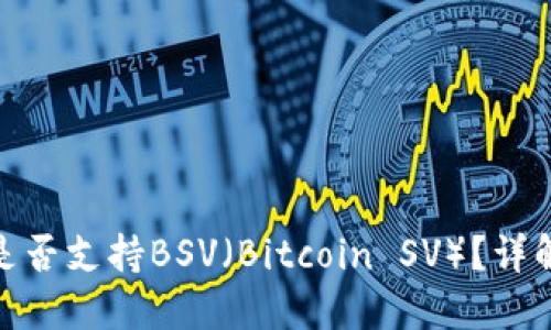 imToken钱包是否支持BSV（Bitcoin SV）？详解及其使用指南