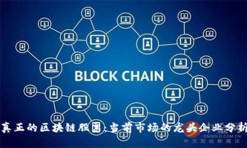 真正的区块链股票：当前市场的龙头企业分析