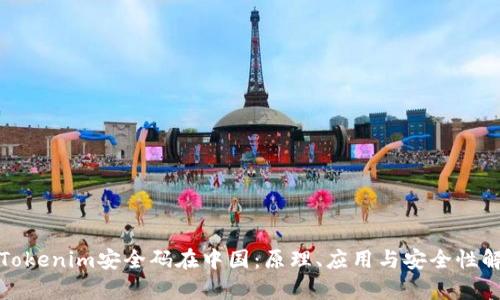 : Tokenim安全码在中国：原理、应用与安全性解析