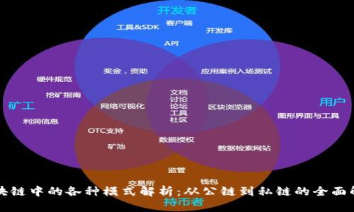 区块链中的各种模式解析：从公链到私链的全面解读
