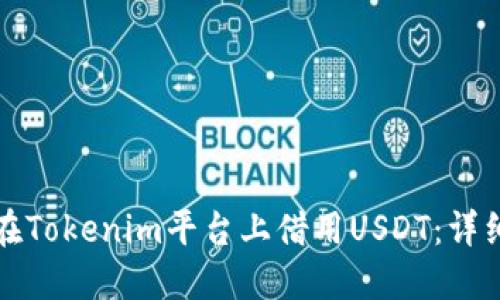 如何在Tokenim平台上借用USDT：详细指南