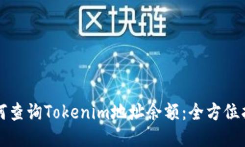 如何查询Tokenim地址余额：全方位指南