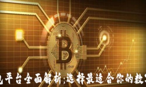 
区块链主流钱包平台全面解析：选择最适合你的数字资产管理工具